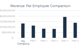 Interior Designer Peer Analysis Report - Employee Comparison